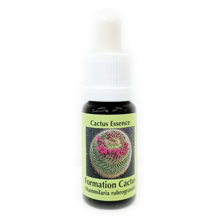 【専用】#60 DNAクリアリング 3本　アンジェリック　フラワーエッセンス DNA クリアリング[DNA Clearing]#60 | ブランド一覧,アンジェリック