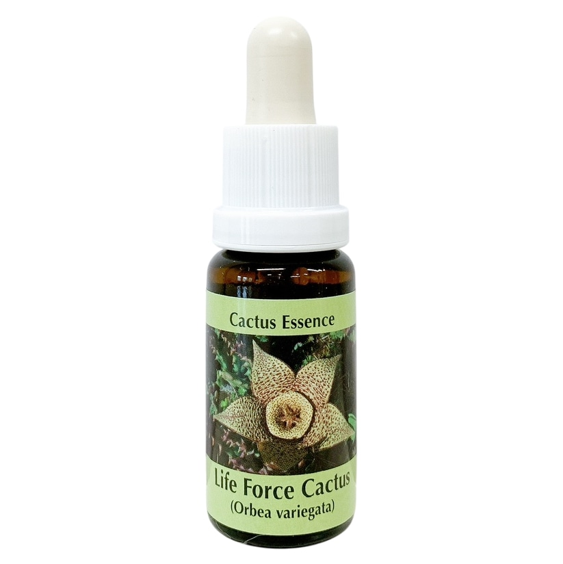 ライフフォースカクタス[Life Force Cactus]