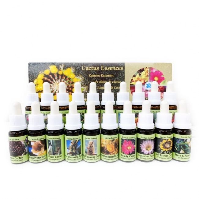 カクタスエッセンス全20本