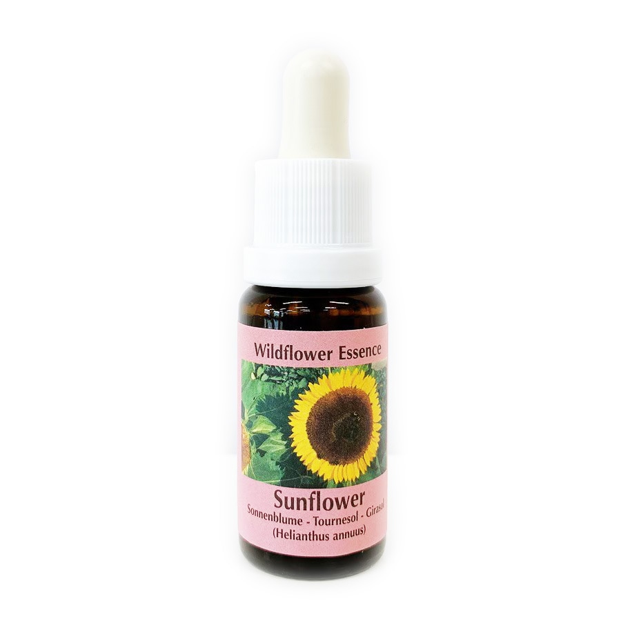 サンフラワー[Sunflower]#16