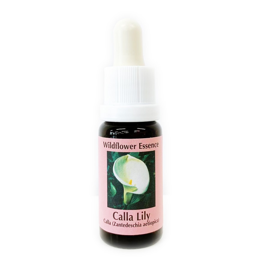 カラーリリー[Calla Lily]#23