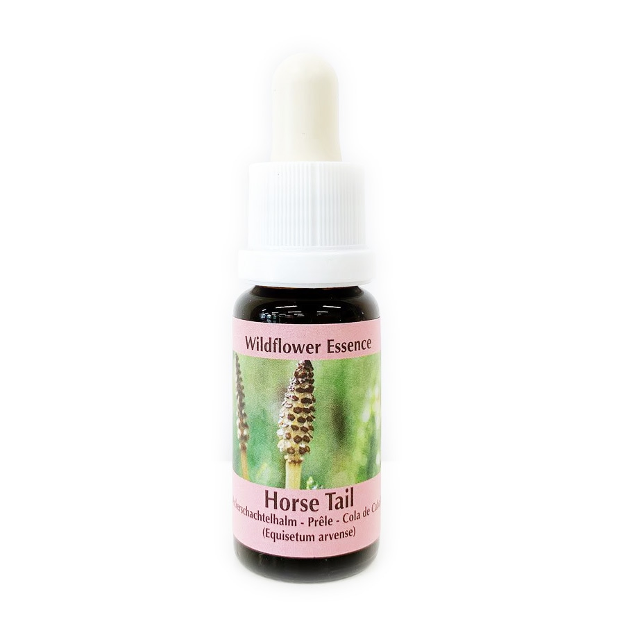 ホーステイル[Horse Tail]#41