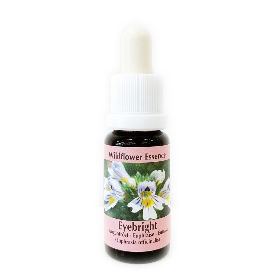 エマージェンシークリーム50ml[Emergency Cream] | ブランド一覧