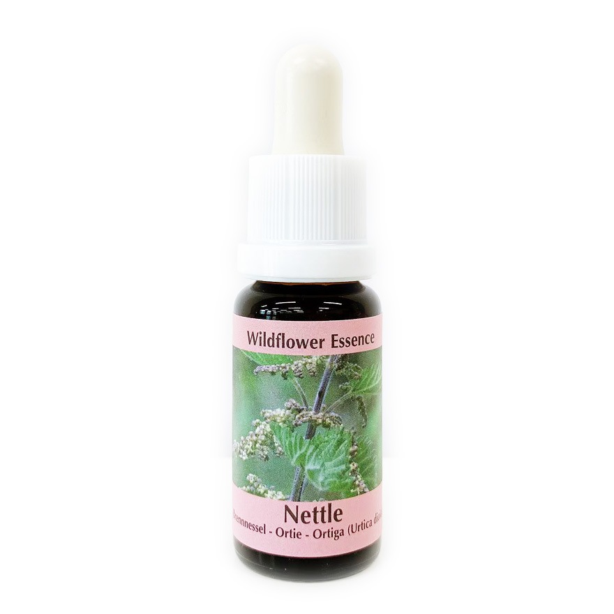 ネトル[Nettle]#44