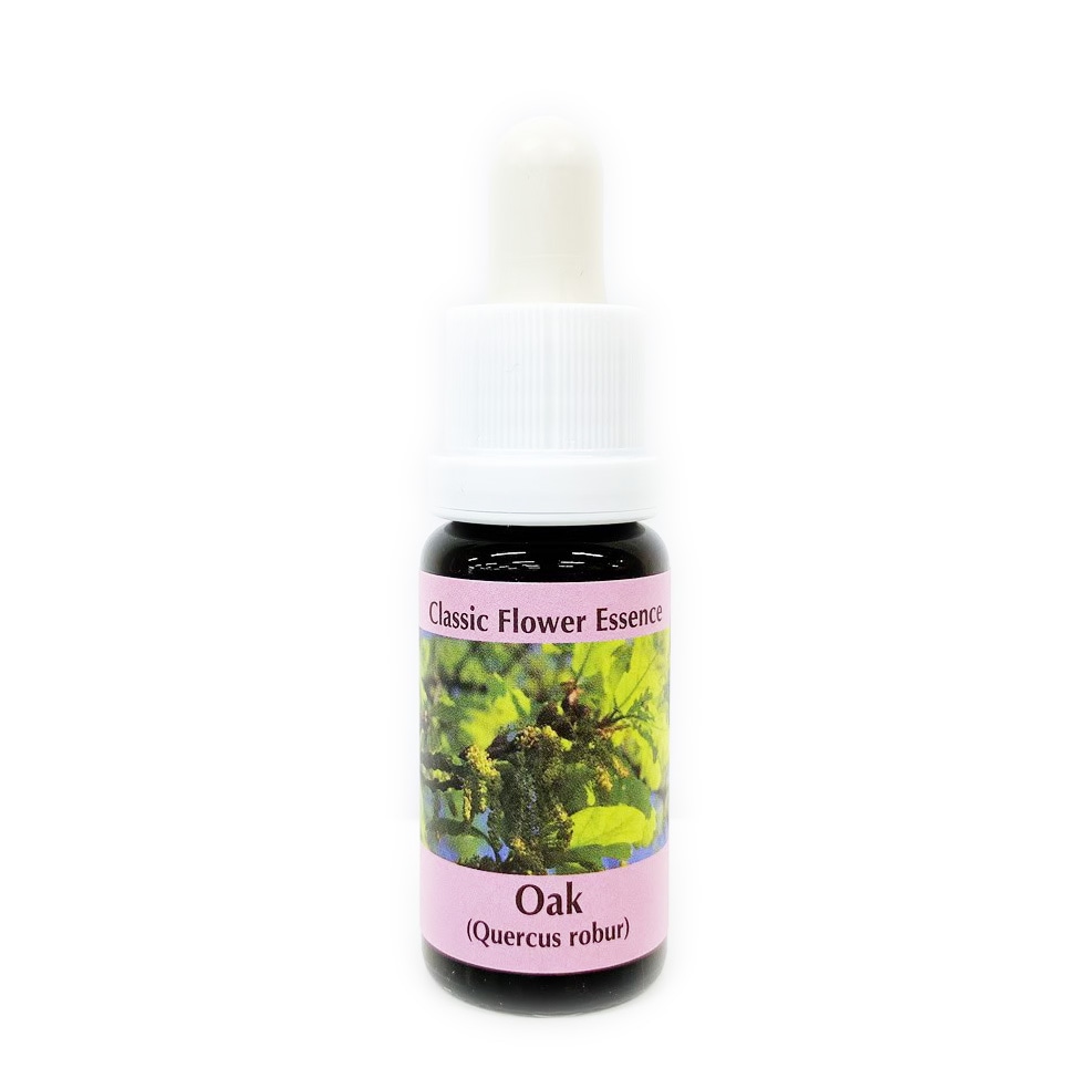 オーク[Oak]#22