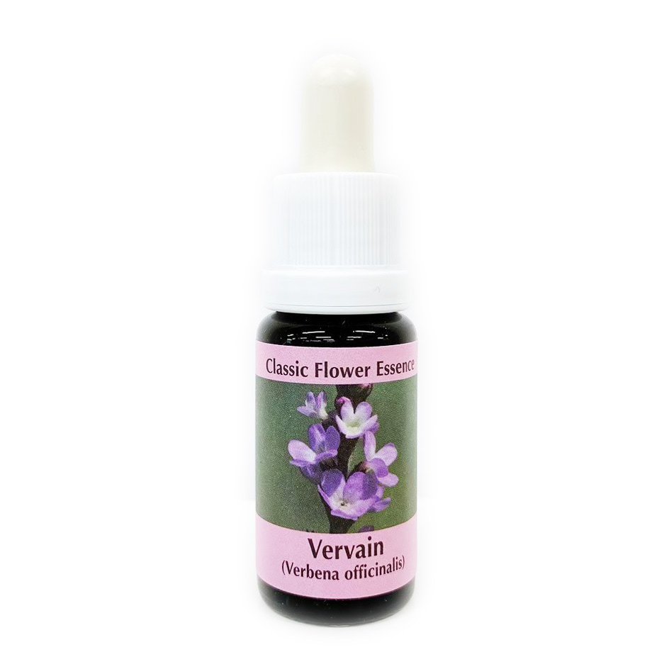 バーベイン[Vervain]#31