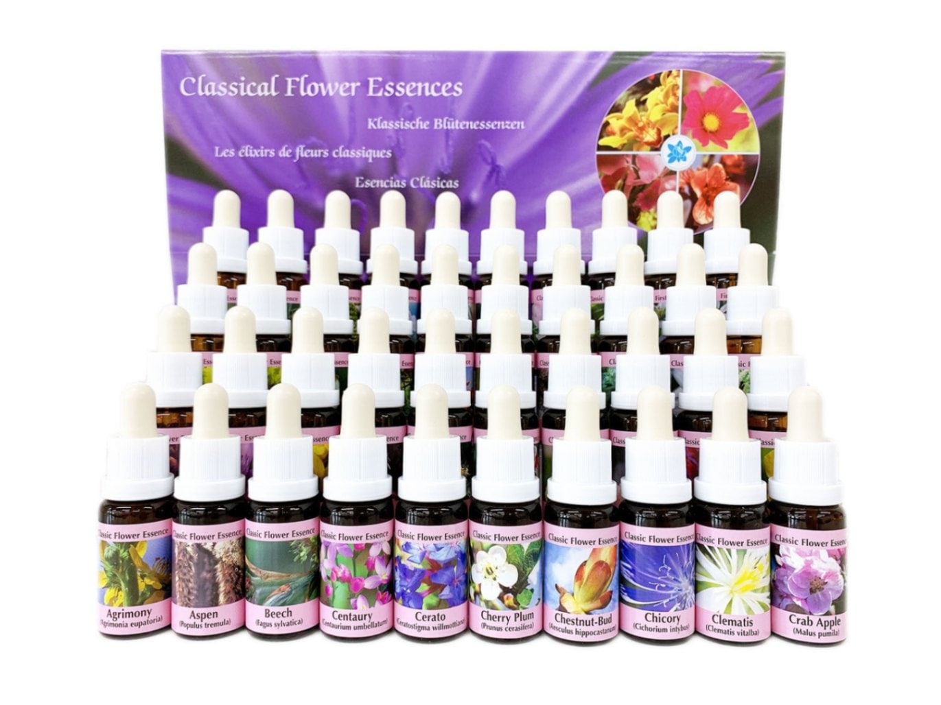 クラシックエッセンス全40本