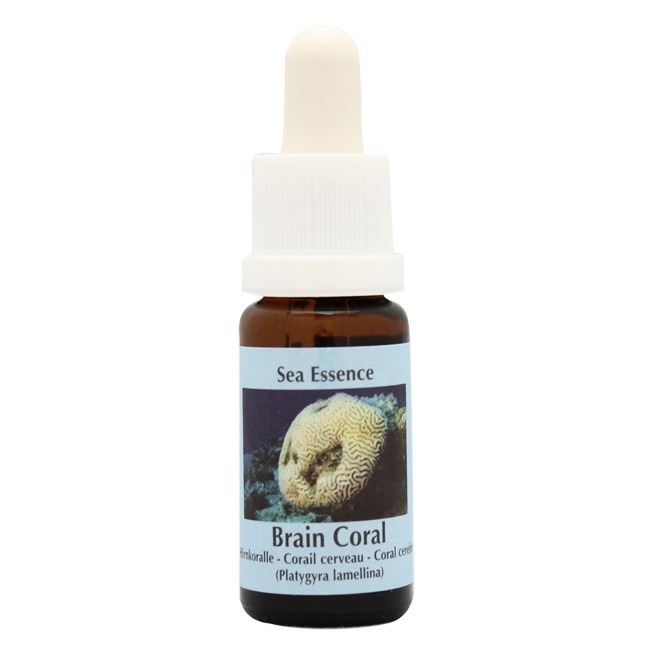 ポストトラウマスタビライザー30ml[Post-Trauma Stabilizer
