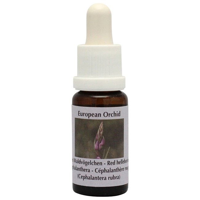 ECストロングスプレー詰替用200ml[Energy Cleansing Strong