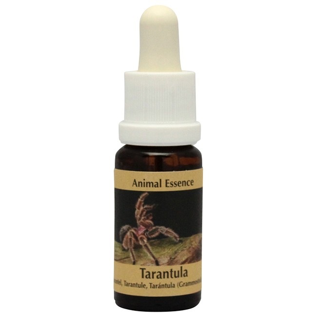 セクシュアリティ[Sexuality]『性』 | ブランド一覧,オーストラリアン