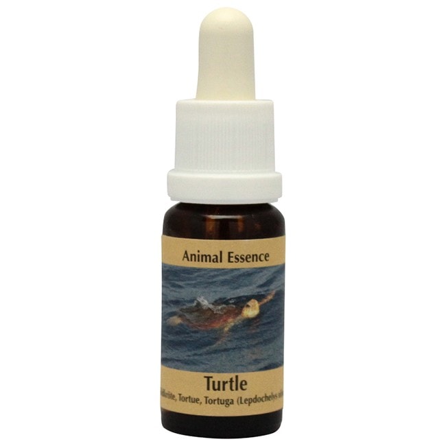 イルカ(デルフ)スプレー[DelphSpray](50ml) | ブランド一覧,PHI