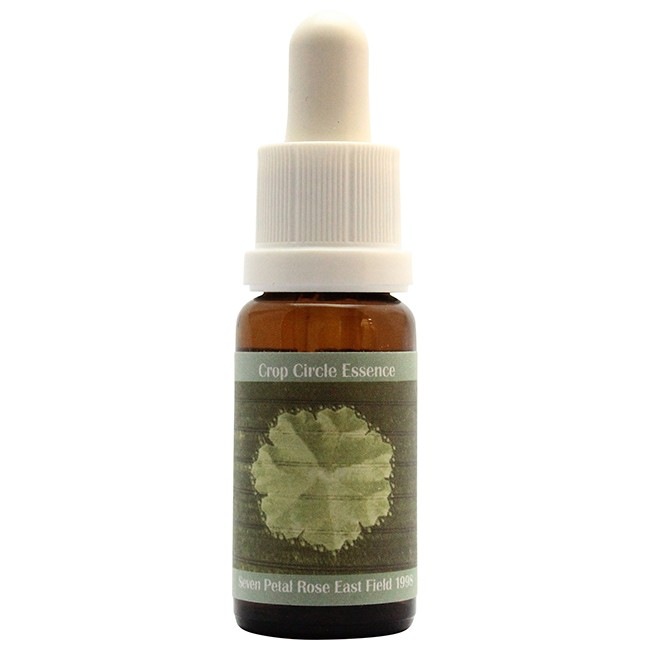 #18 Seven Petal Rose, East Field, UK(1998)