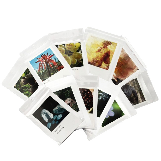 コルテPHI写真カード全273枚