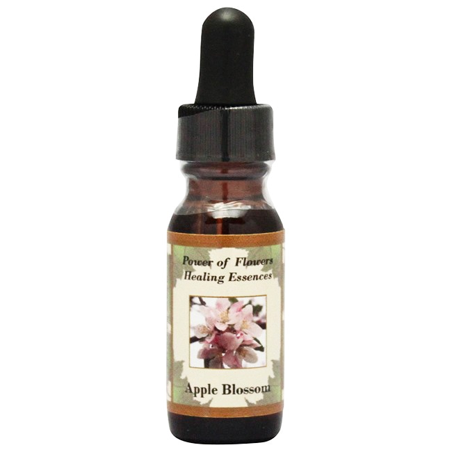 フラワーカード[40 Bach Flower Essence Postcards] | ブランド一覧