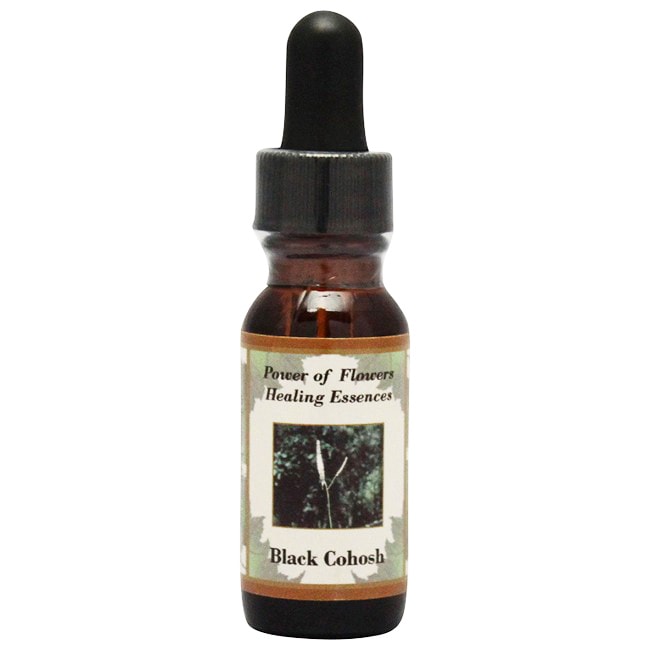 シルバーソード[Silver Sword] | ブランド一覧,パワーオブフラワー