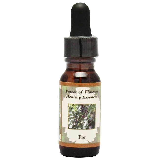 【専用】ケアラー『介護者』 オーストラリアンブッシュ フラワーエッセンス　他 専用】ケアラー『介護者』 オーストラリアンブッシュ