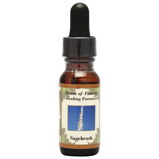 シルバーソード[Silver Sword] | ブランド一覧,パワーオブフラワー