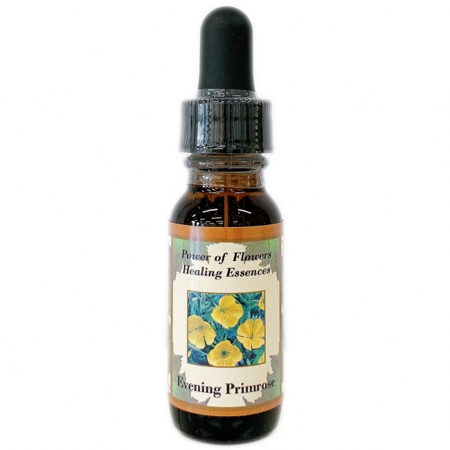 【予約品】ダグラスファー　パワーオブフラワーヒーリング フラワーエッセンス 楽天市場】ダグラスファー《パワーオブフラワーヒーリング