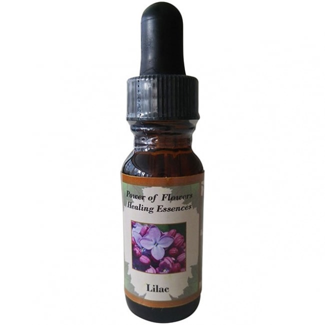 ライラック[Lilac]