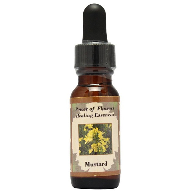 パーパスアンドデスティニーブレンド[Purpose and Destiny Blend