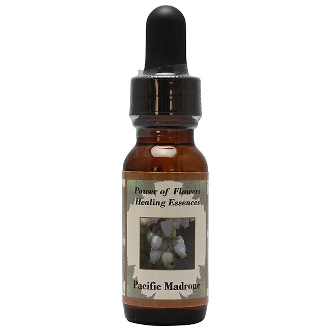 パシフィックマドロン[Pacific Madrone]