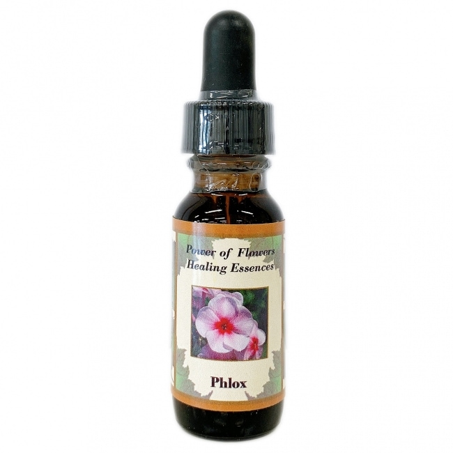 ポンデローサパイン[Ponderosa Pine] | ブランド一覧,パワーオブ