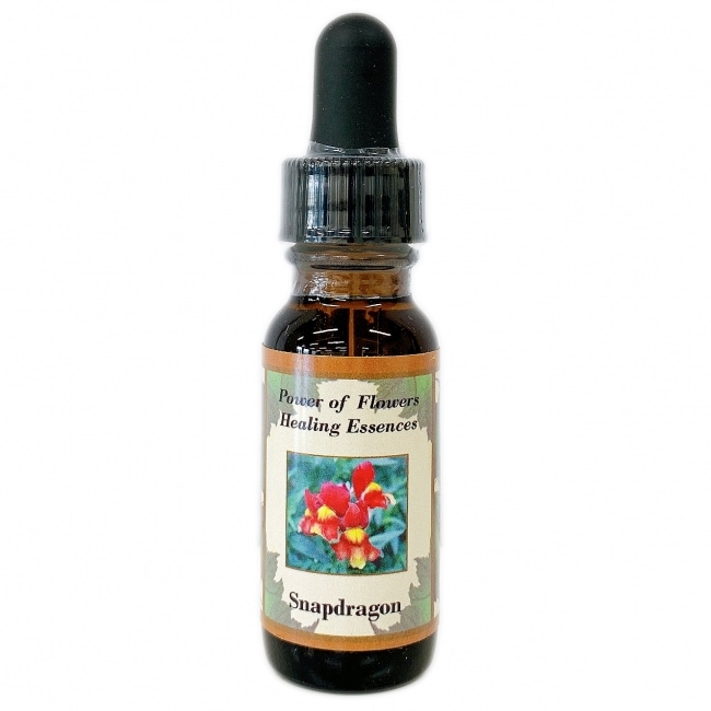 スナップドラゴン[Snapdragon]