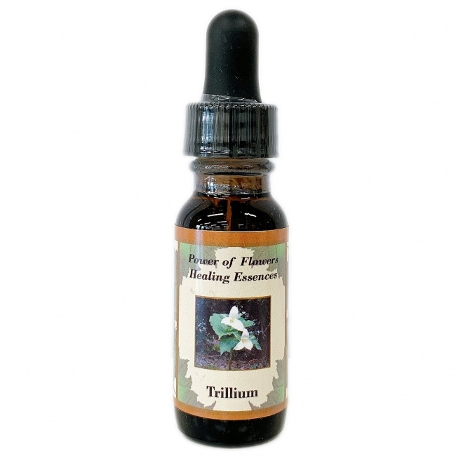 トリリウム[Trillium]