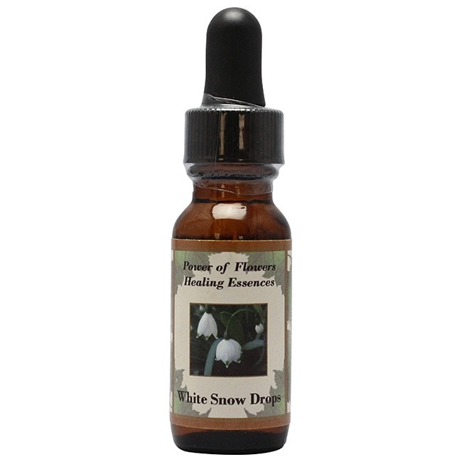 ホワイトスノードロップス[White Snow Drops]