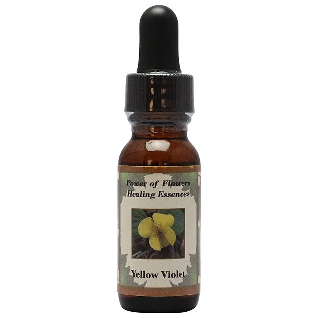 イエローヴァイオレット[Yellow Violet]