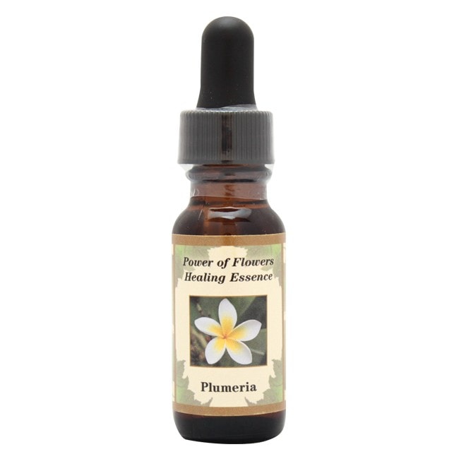 プルメリア[Plumeria]