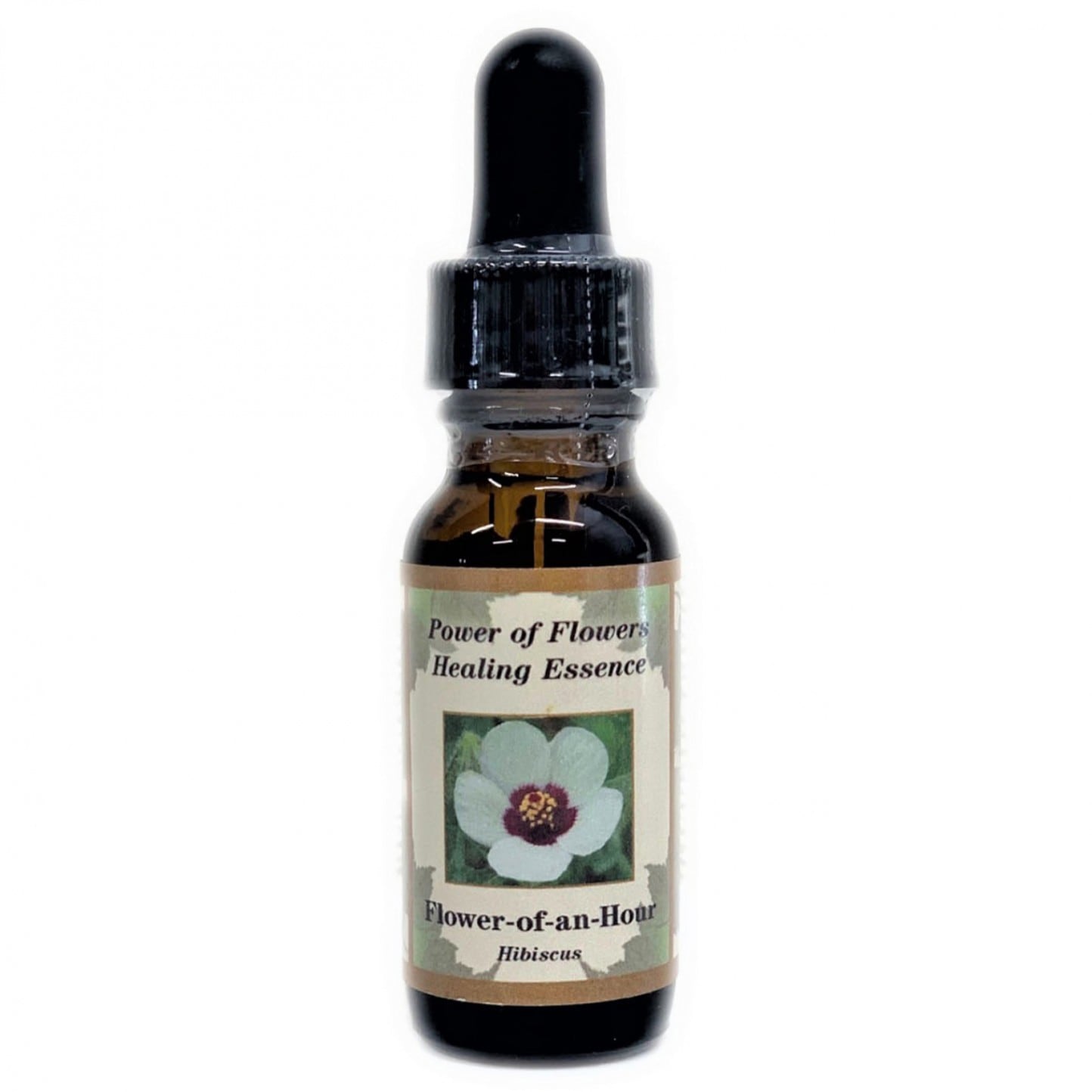 フラワーオブアンアワー[Flower-of-an Hour Hibiscus]