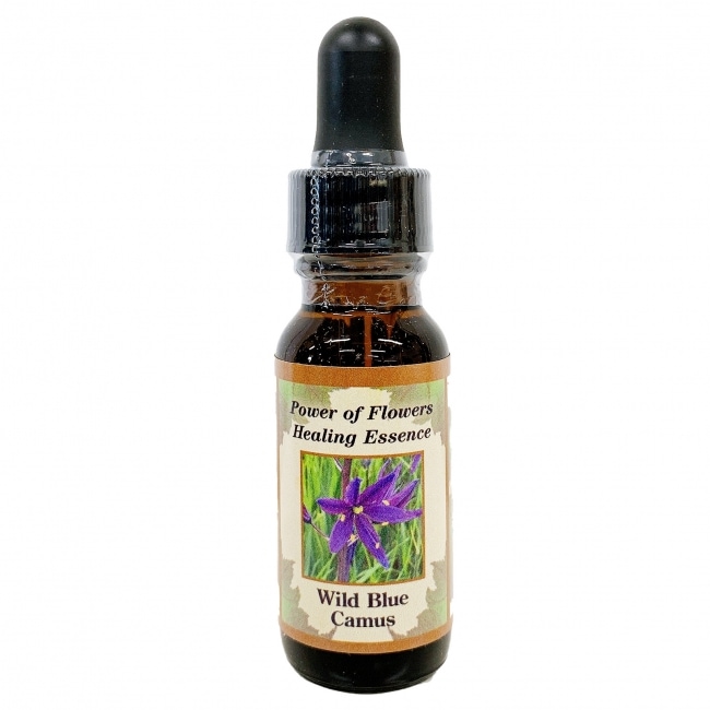 ワイルドブルーカマス[Wild Blue Camus]