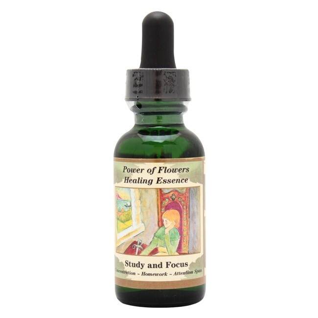 スタディー&フォーカス[Study and Focus]『集中力、宿題、注意』