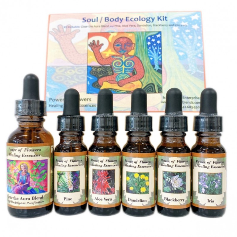 ソウル/ボディエコロジーキット全6本 | ブランド一覧,パワーオブ