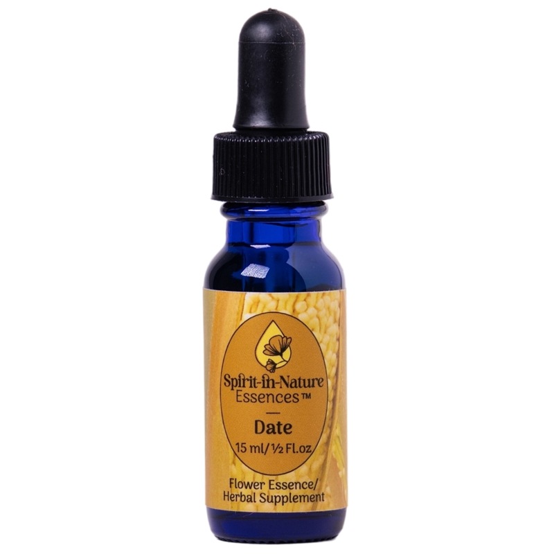 デーツ[Date]『優しさ』