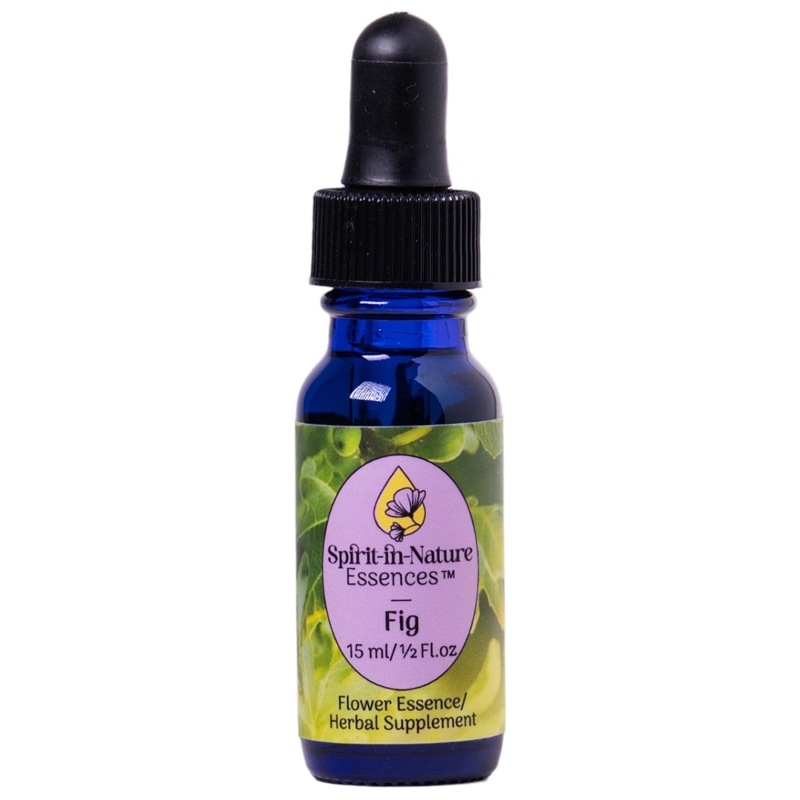 フィグ[Fig]『柔軟性』