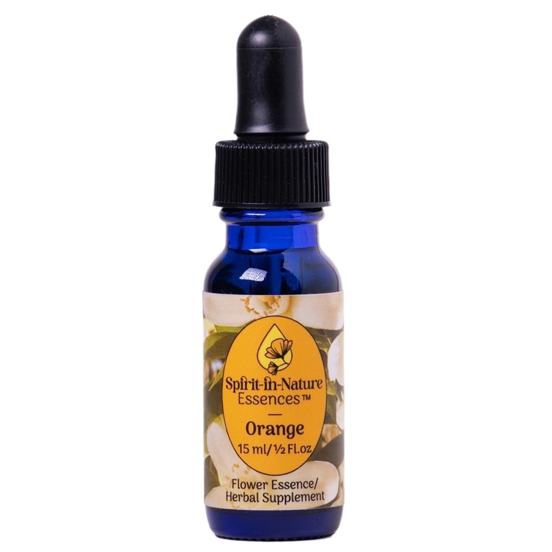 オレンジ[Orange]『喜びと情熱』