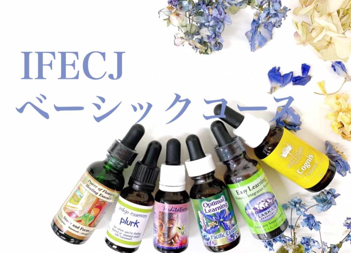 1.IFECJ：入門録画受講コース | IFECJスクール | NATURE WORLD