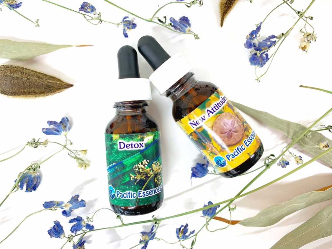 パシフィックエッセンス：アドバンス録画受講コース