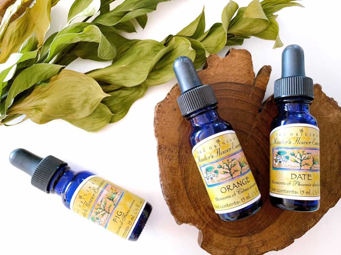 ソウルサポート[Soul Support](7.5ml) | ブランド一覧,アラスカン