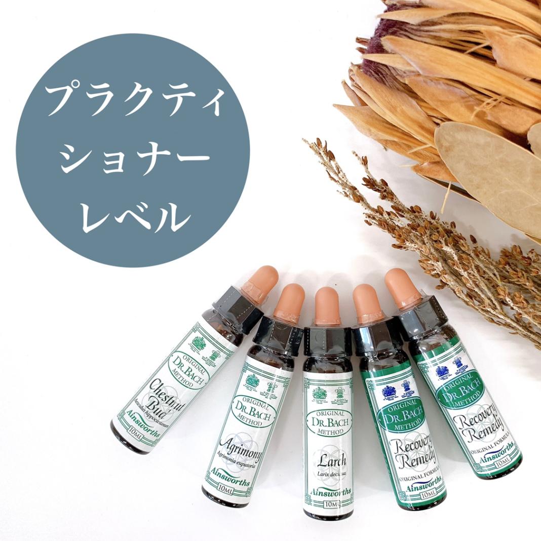 エインズワース フラワーエッセンス バッチフラワー セット エインズワース バッチフラワーエッセンス10ml 40本キット
