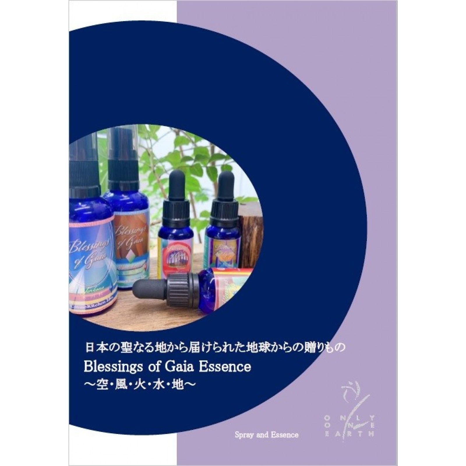 Blessings of Gaiaパンフレット