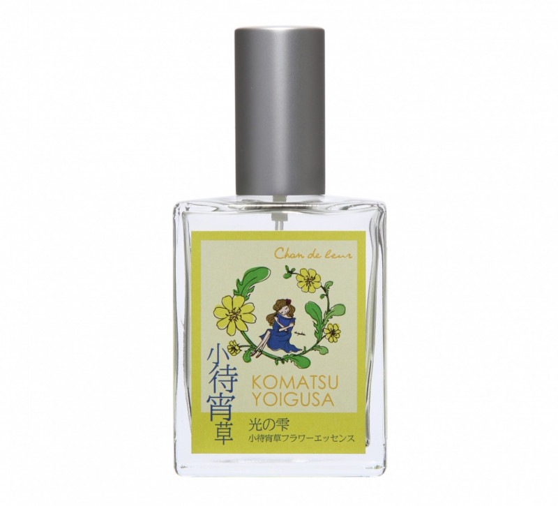 小待宵草フラワーエッセンススプレー