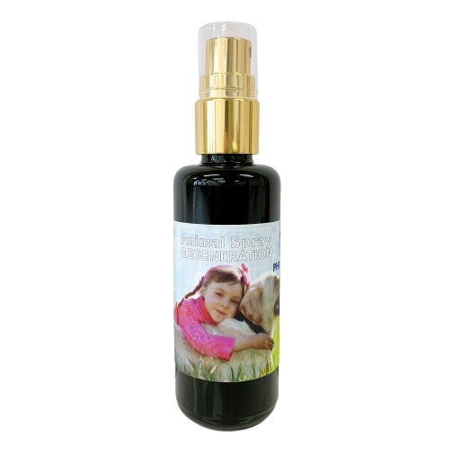 プレアディアン[Pleiadian] | ブランド一覧,セイクレッドエイト