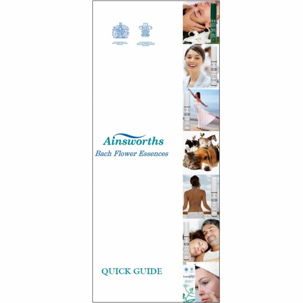 (データ版)エインズワース パンフレット