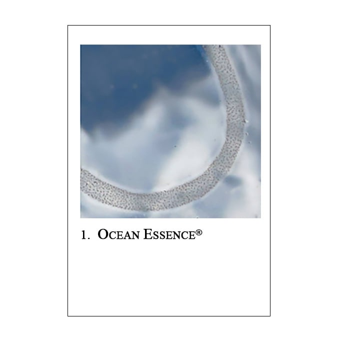 オーシャンエッセンスカード(60枚)