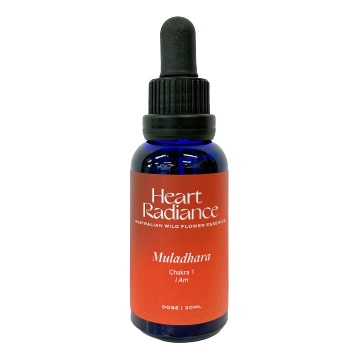 アバンダンスプログラムセット(日本語訳付) | ブランド一覧