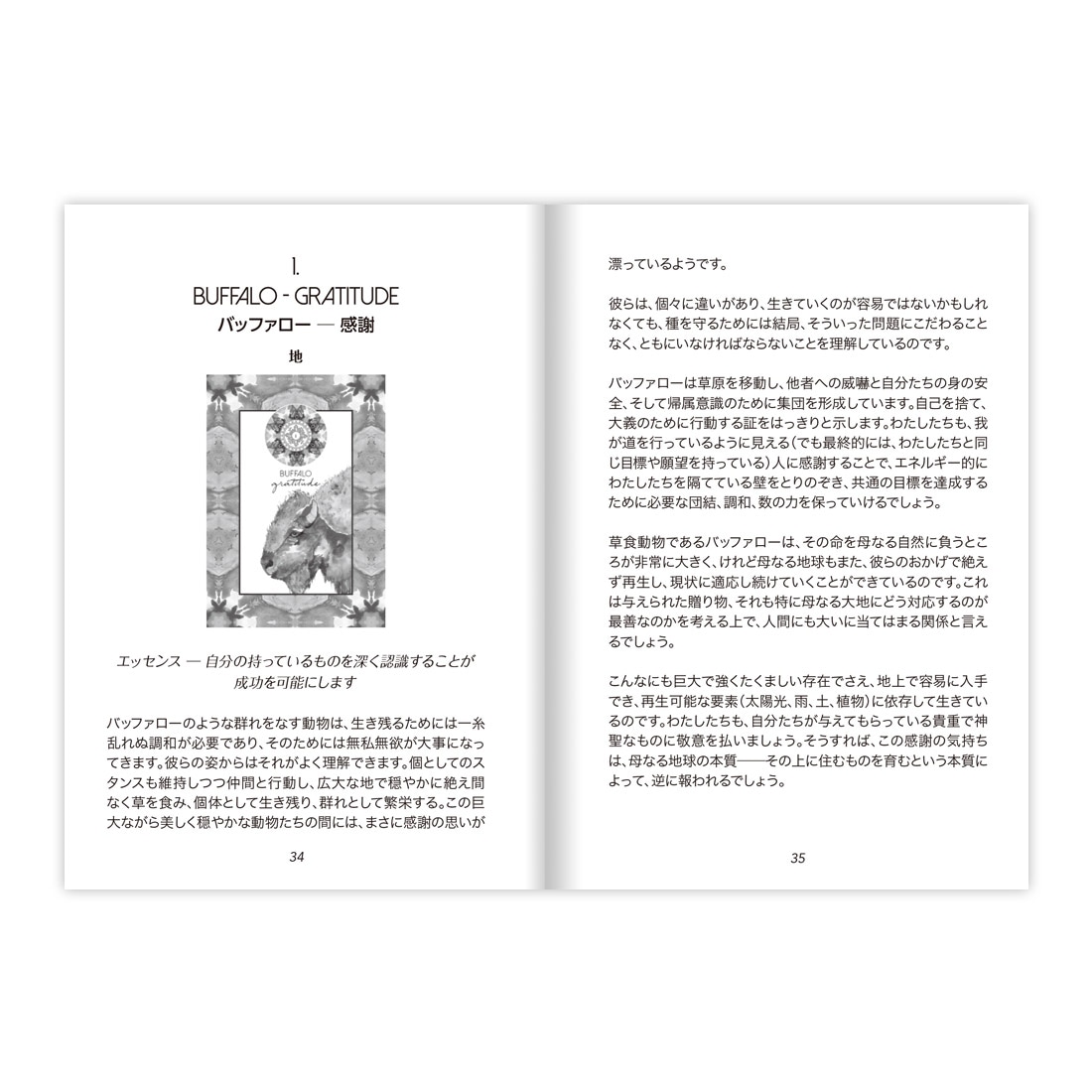 アニマルキンオラクル | ブランド一覧,オラクルカード・書籍,オラクル