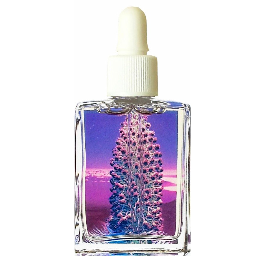 【専用】シルバーソード　統合　 パワーオブフラワーヒーリング フラワーエッセンス Amazon | パワーオブフラワーヒーリングエッセンス シルバー